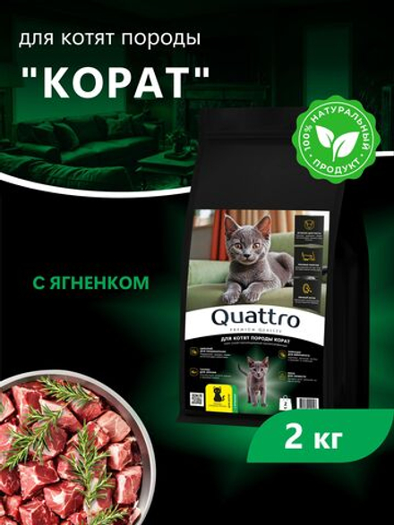 Корм сухой для котят породы Корат, с ягненком, 2 кг, QUATTRO