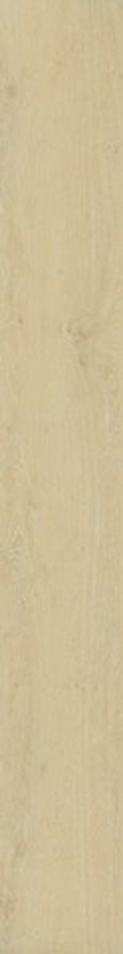 Керамогранит Won.Life Honey RET (610010002146)