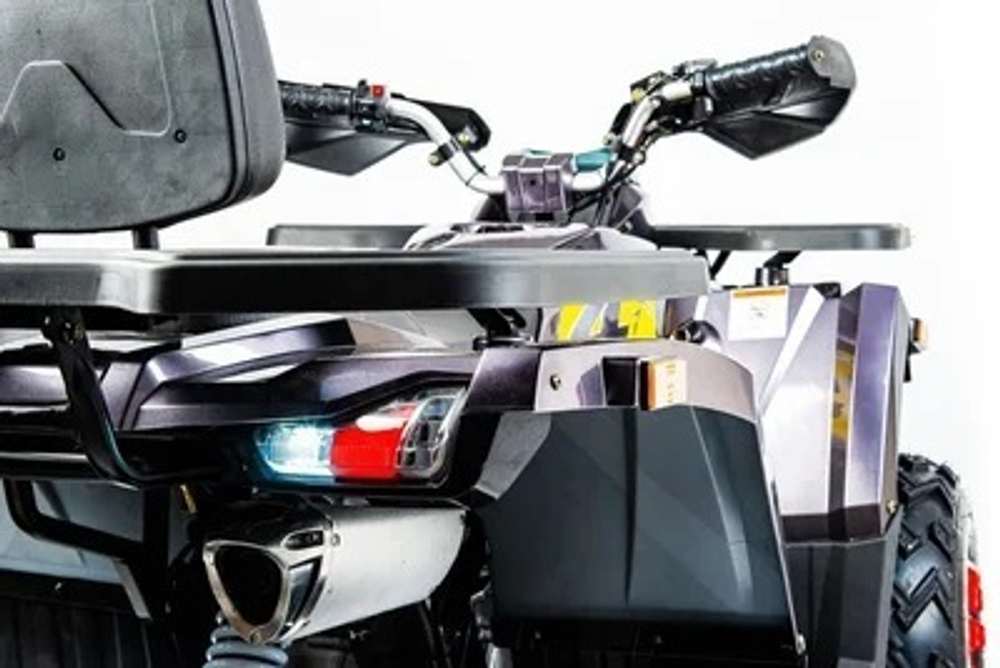 Квадроцикл MOTOLAND 200 WILD TRACK X PRO (2022)
