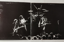 Винтажная виниловая пластинка LP Ted Nugent Cat Scratch Fever (Holland 1977)
