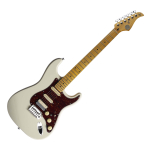 Электрогитара Gopherwood WHITE901M