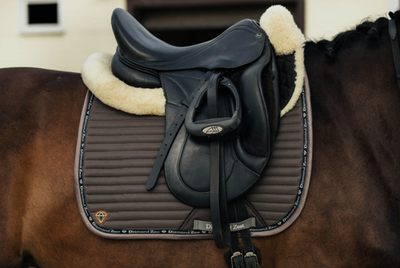 Вальтрап Diamond Zest AIR Graphite (выездковый)