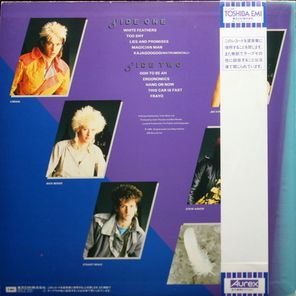 Kajagoogoo / White Feathers (LP)