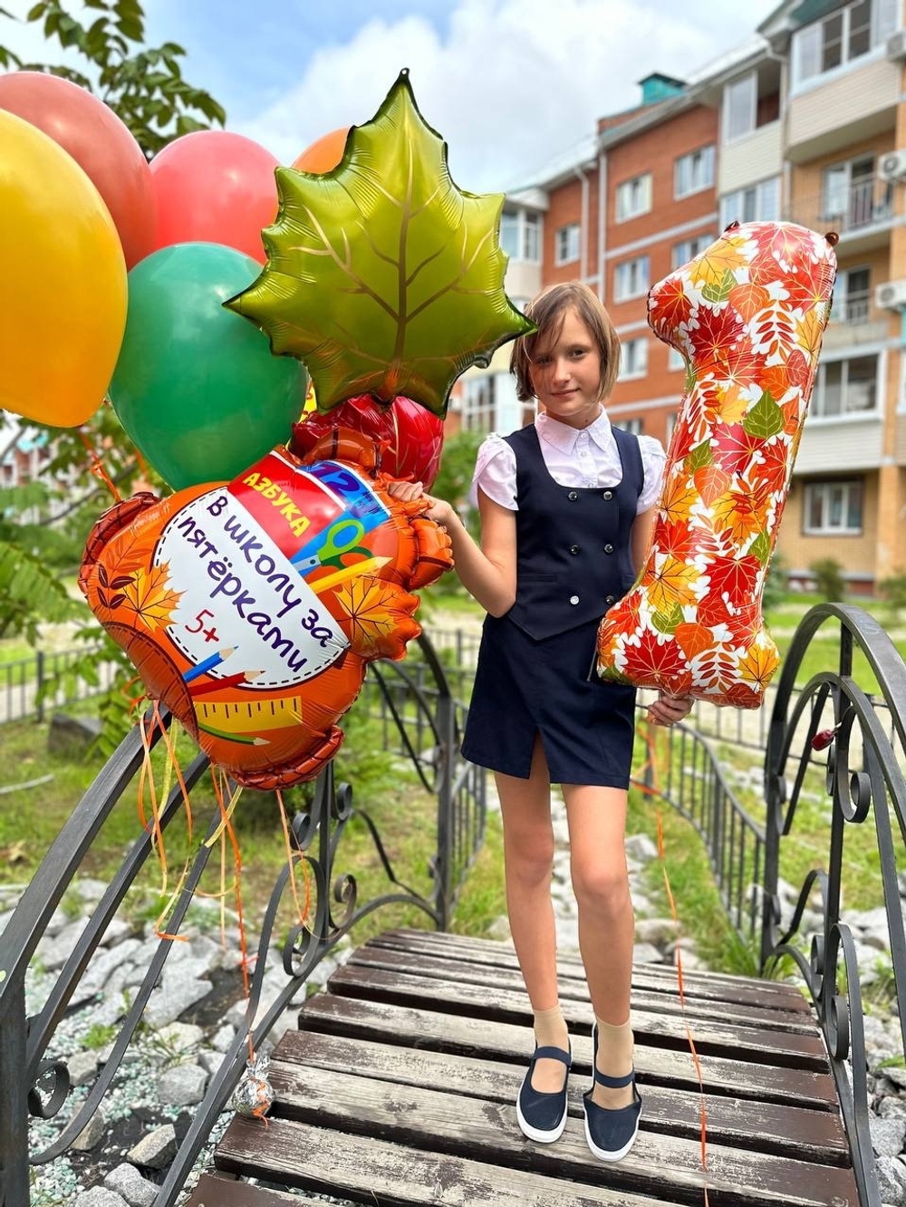 Воздушные шары на 1 сентября №1082