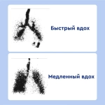 Небулайзер LC SPRINT (синяя и красная насадка), тип 023 сменный год.