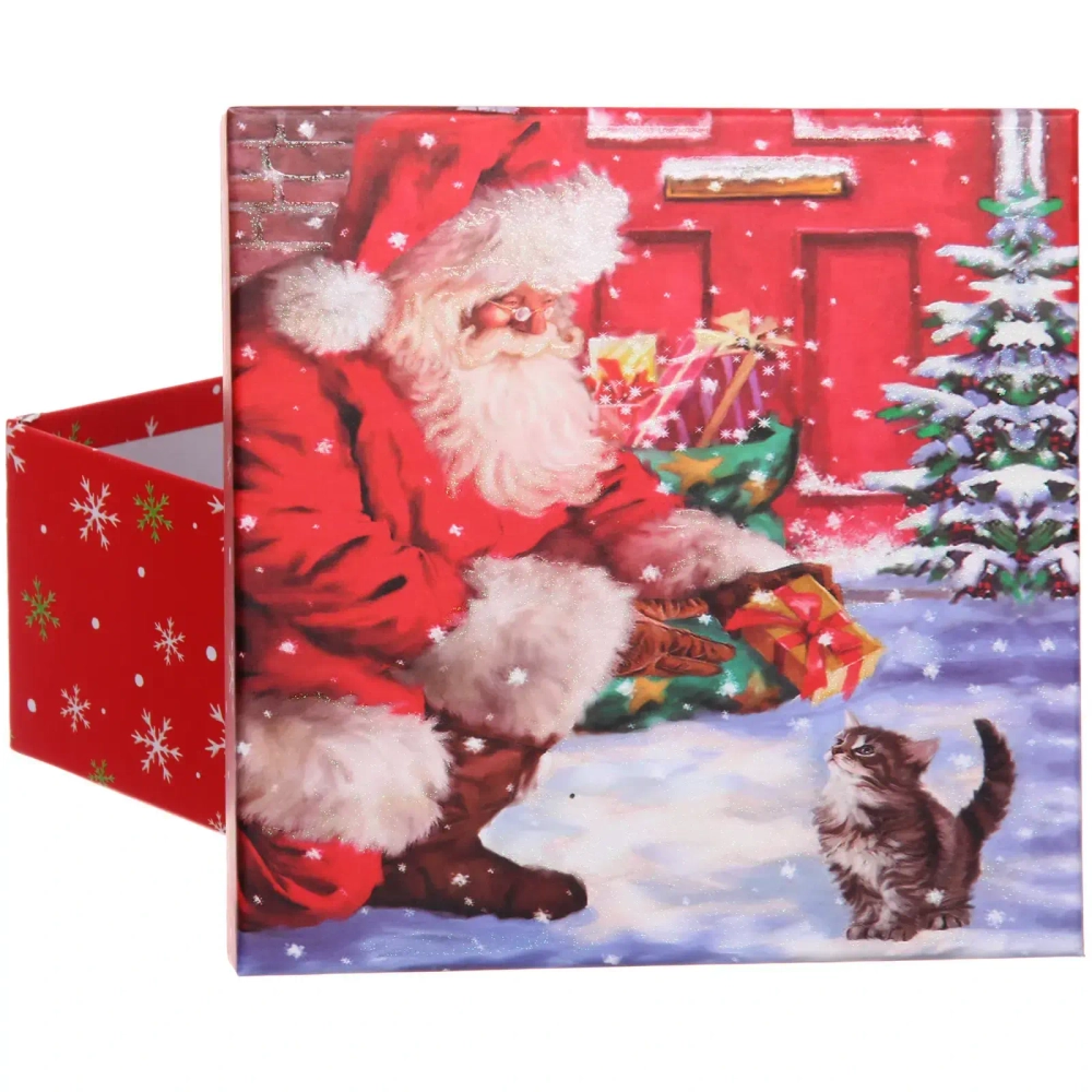 Коробка подарочная «Дед Мороз и кошка» 20*20*9,5 см