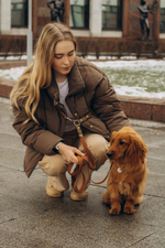 Перестежка поводок для собак 20 мм , 5 м коричневый и леопард