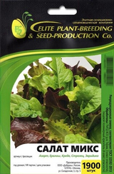 Салауатты дилдостар