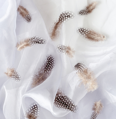 Перья цесарки натуральные 15 шт.