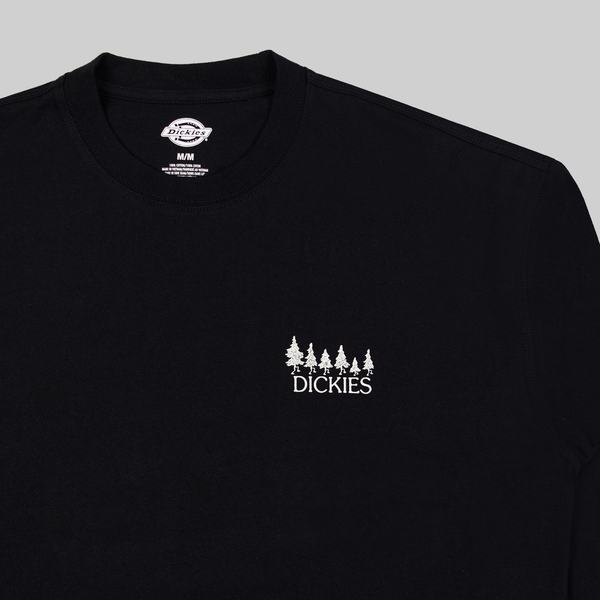 Лонгслив мужской Dickies Kenbridge Tee артикул:DK0A4YVRBLK1 - купить в магазине Дайс