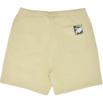 Шорты A BATHING APE x New Balance, 0ZXSPM153901I