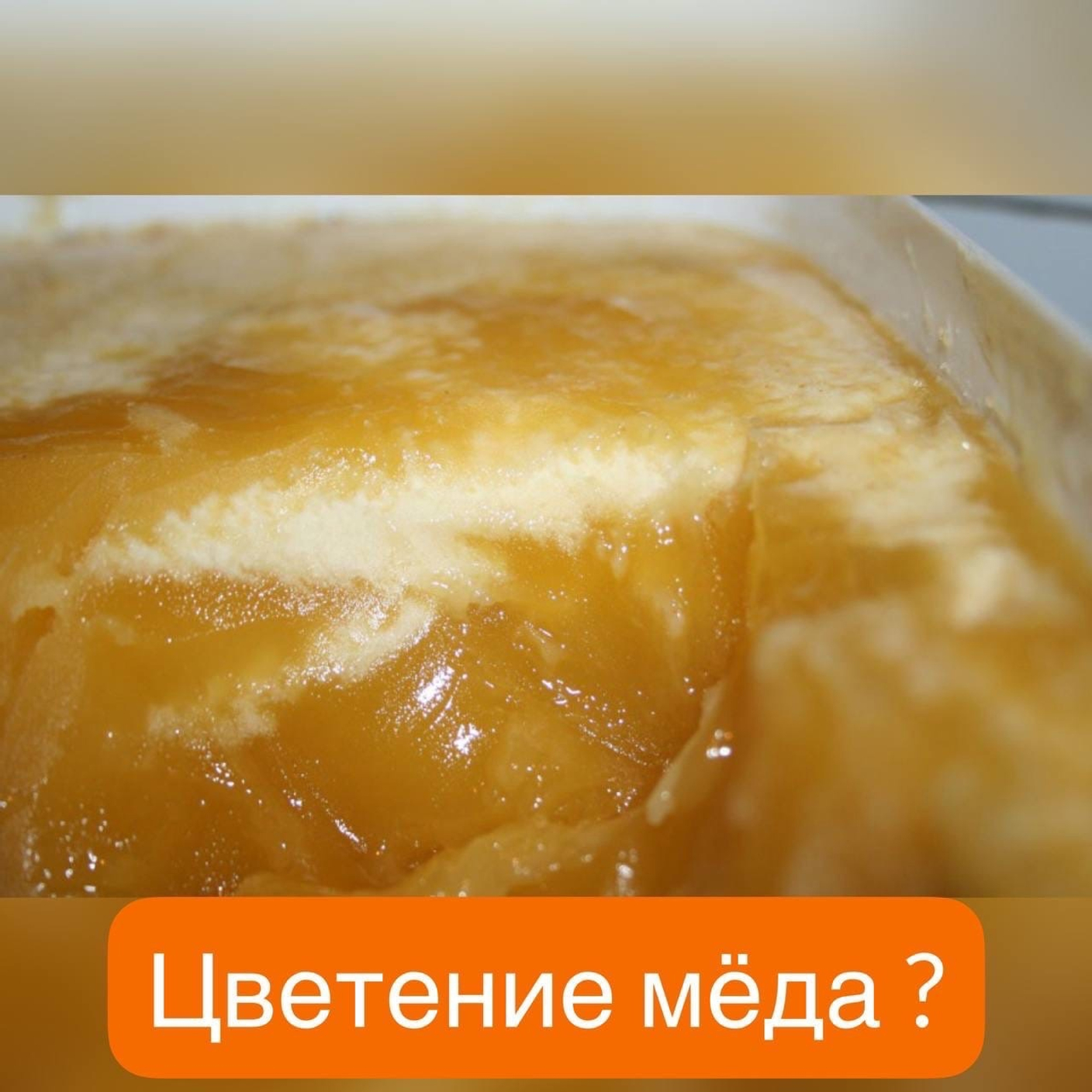 БЕЛАЯ ПЕНКА НА ПОВЕРХНОСТИ МЁДА