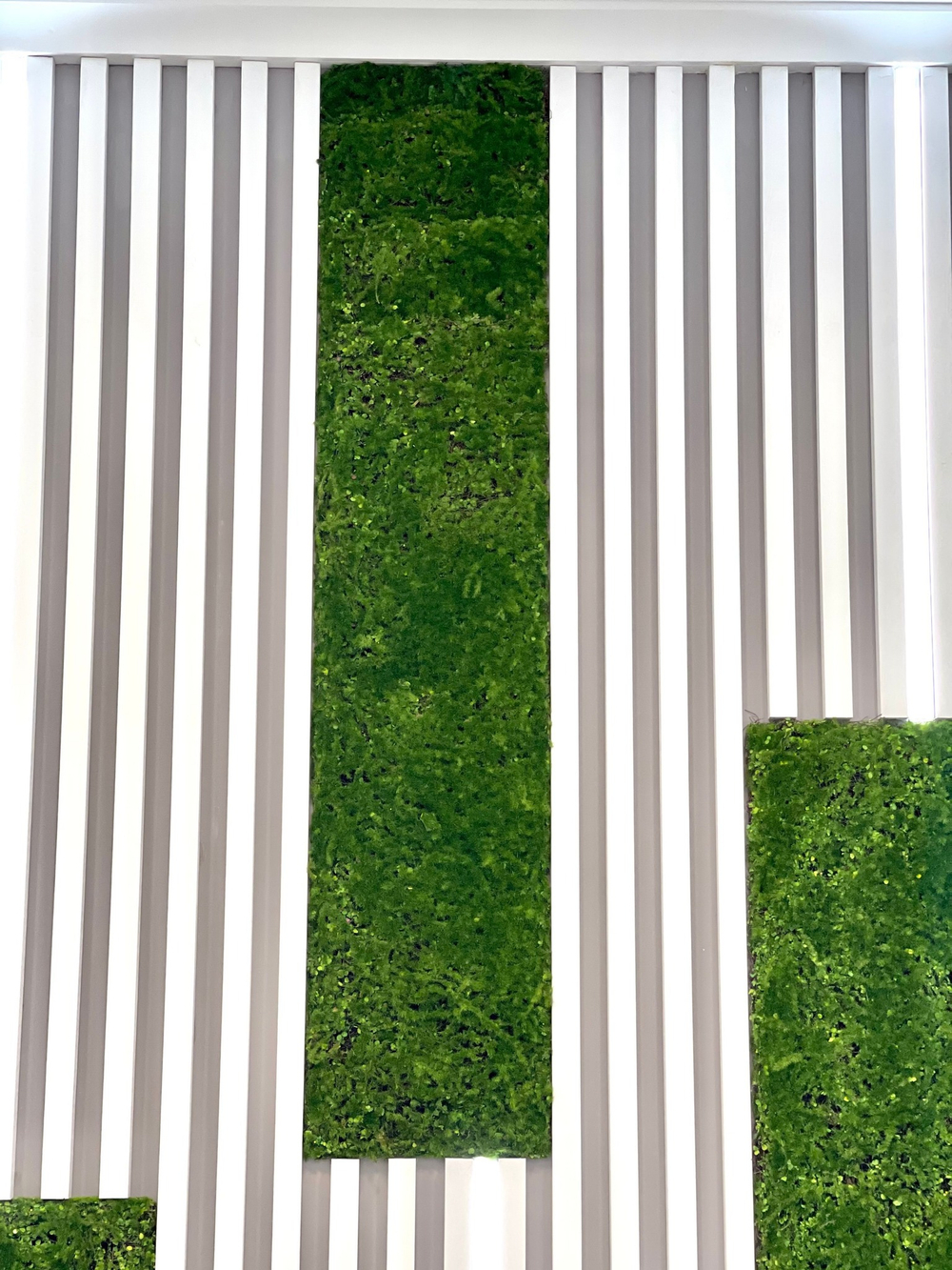Вертикальное озеленение частного интерьера искусственным мхом. г.Краснодар