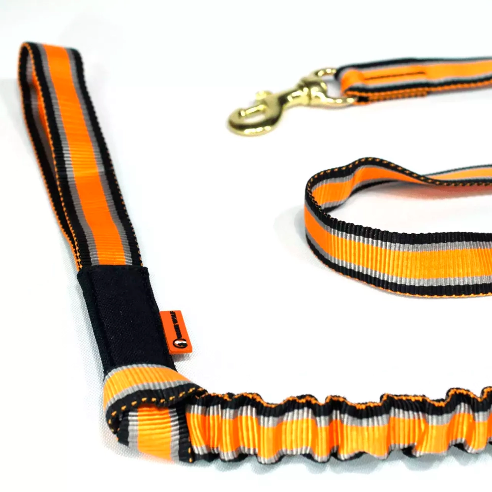 Пояс для каникросса в комплекте с потягом White Wolf серия Спорт