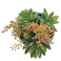 GAEM Цветочная композиция "Суккуленты", L14 W14 H20 см