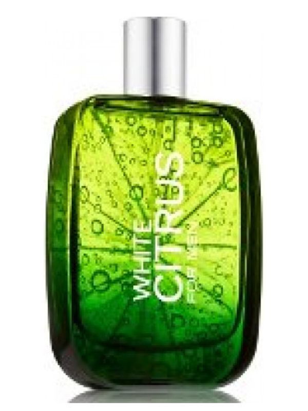 Bath and Body Works White Citrus for Men