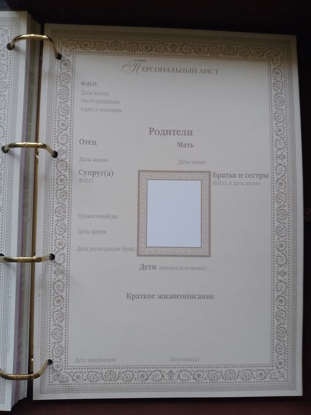 Большая семейная родословная книга "Столетие", натуральная кожа