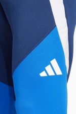 Штаны adidas Tiro 24 Competition Winterized - синий