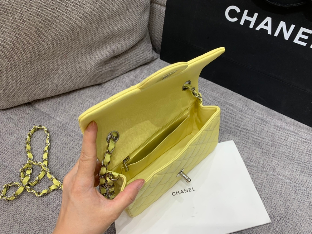 Chanel Bag 20 cm