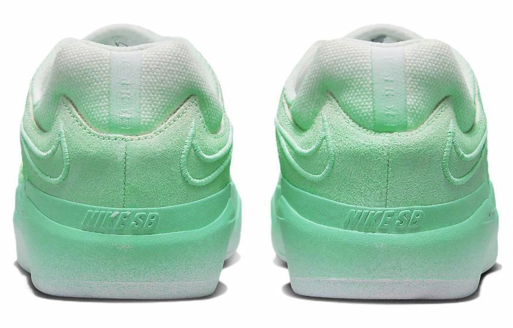 Кроссовки Nike Sb Ishod