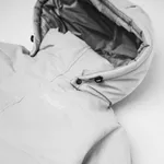 Куртка Dissident DD24 серая