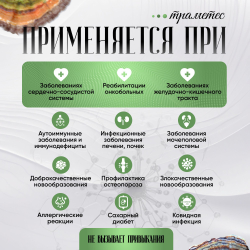 Траметес разноцветный капсулы 120 штук