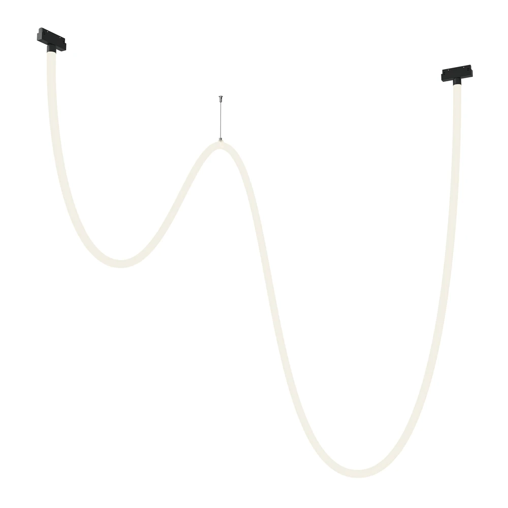 Магнитный трековый подвесной светильник Maytoni TAU TR101-2-100W4K-B