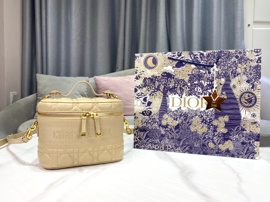 Christian Dior Small DiorTravel Vanity Case