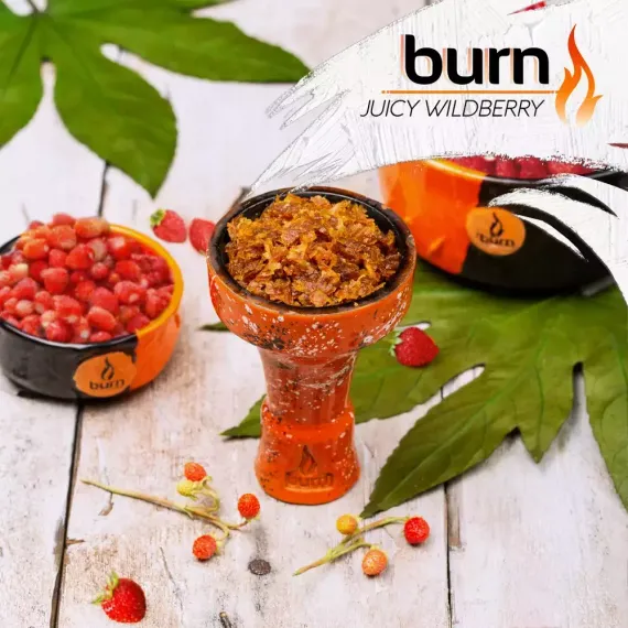Burn - Juicy Wildberry (100г)