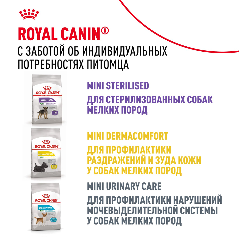 Royal Canin Miniature Schnauzer Adult Миниатюрный Шнауцер Эдалт Корм сухой для взрослых собак породы Миниатюрный Шнауцер от 10 месяцев 3кг