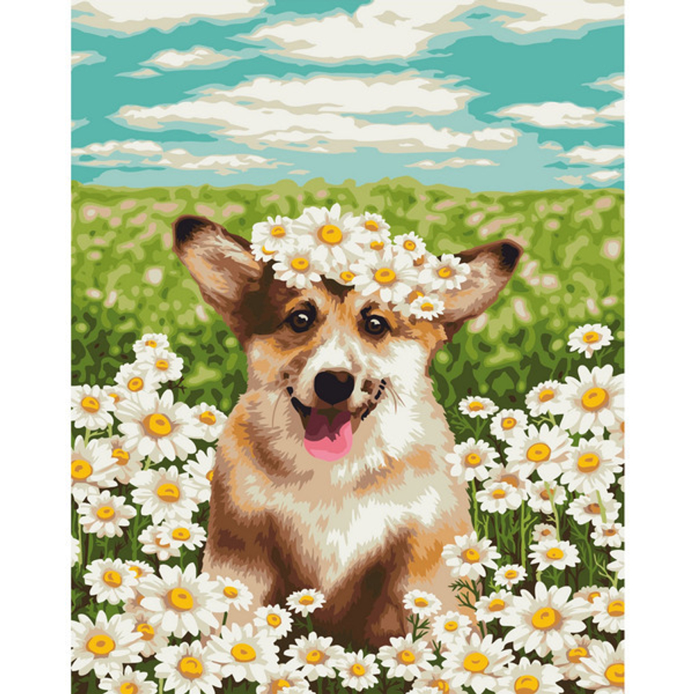 Картина рисование по номерам 40*50 см « Корги в ромашках GLA22