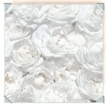 Столешница белая 5