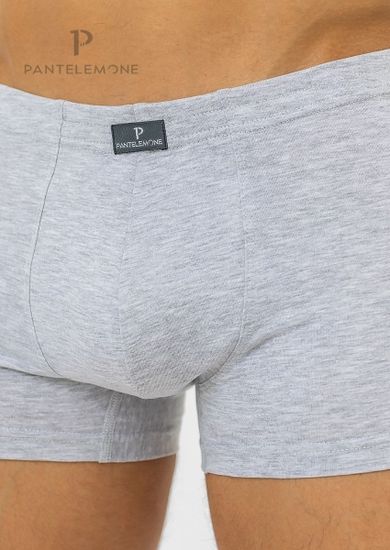 Трусы мужские боксеры Pantelemone PMH-071, серые