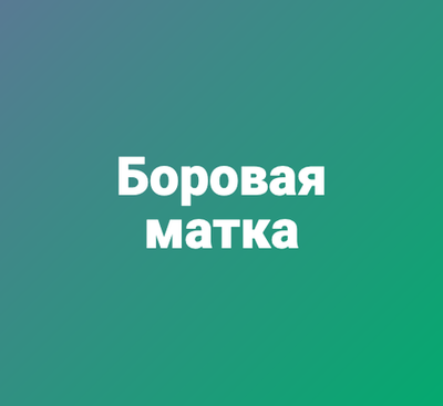 Боровая матка