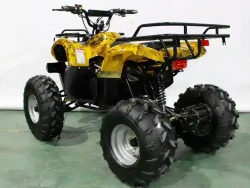 Электроквадроцикл Green Camel Атакама T220 (48V 1000W R8 Дифференциал)