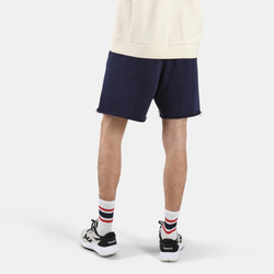 Шорты спортивные мужские REEBOK RBK COLLEGIATE SHORTS