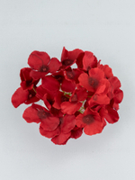 Гортензия Аннабель (голова)