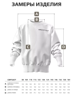 Свитшот для мальчика спортивный в школу