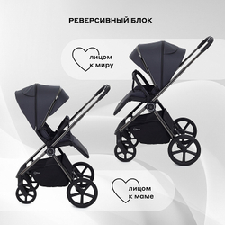 Детская коляска Rant Teo Black Chrome 3 в 1 Graphite