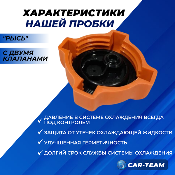 Пробка расширительного бачка "Рысь" с двумя клапанами на ВАЗ 2108-21099, 2110-2112, 2113-2115, Лада Калина, Приора, Гранта, Датсун