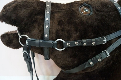 Узда кожаная с регулировкой размера