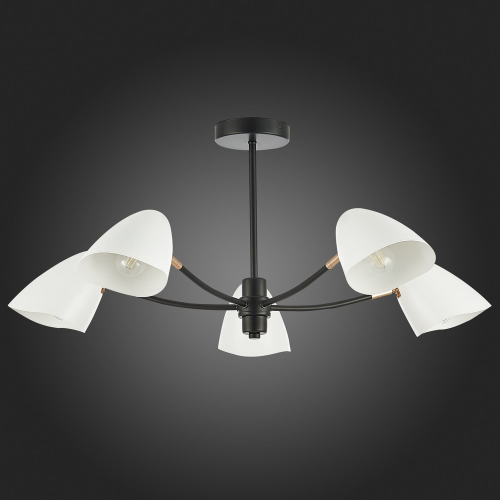 Светильник потолочный Evoluce Satta SLE103602-05