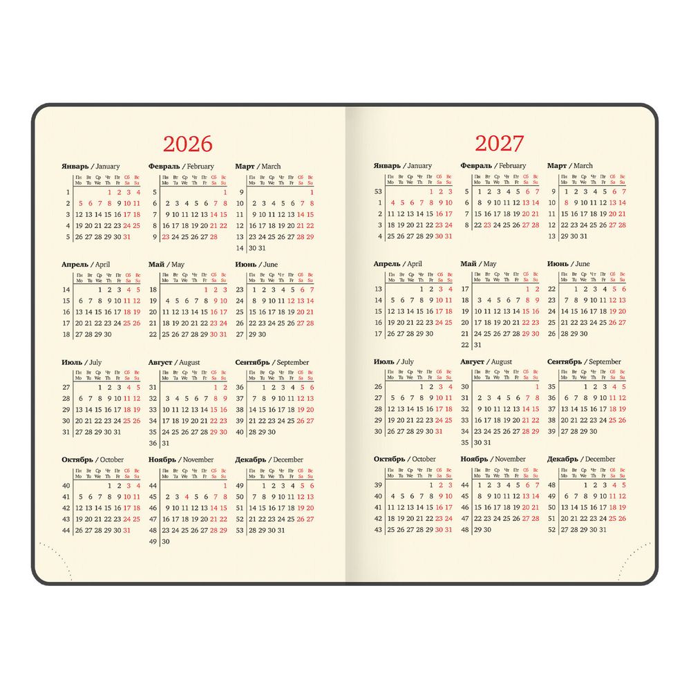 Ежедневник датированный А6 BRAUBERG "Iguana" (117252) 7