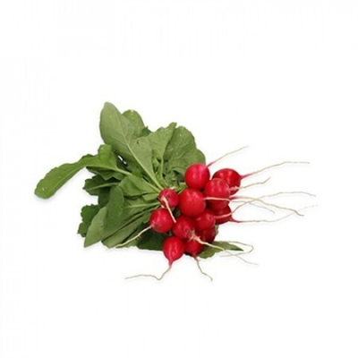 Сион F1 семена редиса (Rijk Zwaan / Райк Цваан)