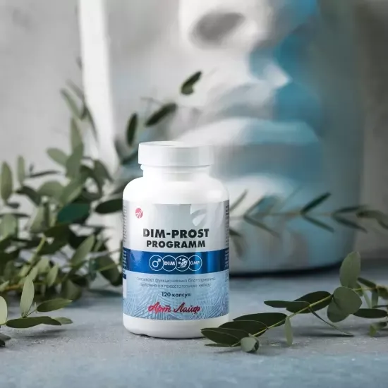 ДИМ-прост программ