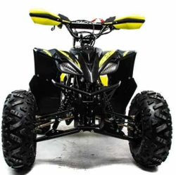 Квадроцикл MOTOLAND 125 RAPTOR