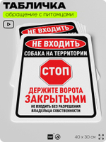 Табличка "Не входить, собака на территории" на дверь и забор, для двора, дома, подъезда, 40х30 см, Silver Plane x Айдентика Технолоджи