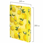 Блокнот с резинкой без линовки 96 л. А5 (145х203 мм) твердая обложка BRAUBERG "Lemons" (4 штуки в упаковке)