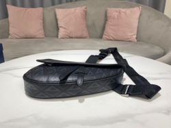 Christian Dior Saddle 26 cm