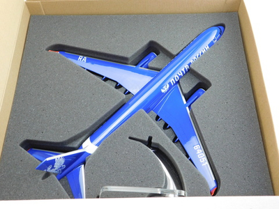 Модель самолета Ту-204-100С (М1:100, Почта России, Петр I)